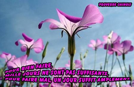 proverbechinois_pourbienfaire