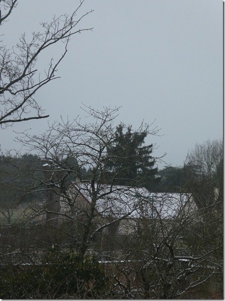 neige du 15 01 2024 (3)