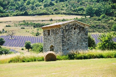 FRANCIS BRENDLER (PLUMES D'ARDECHE)