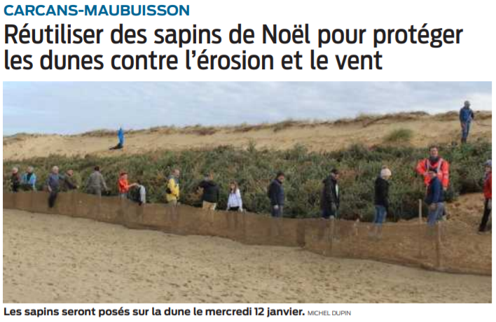 2022 01 05 SO Carcans-Maubuisson érosion des dunes