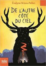 De l'autre côté du ciel couv