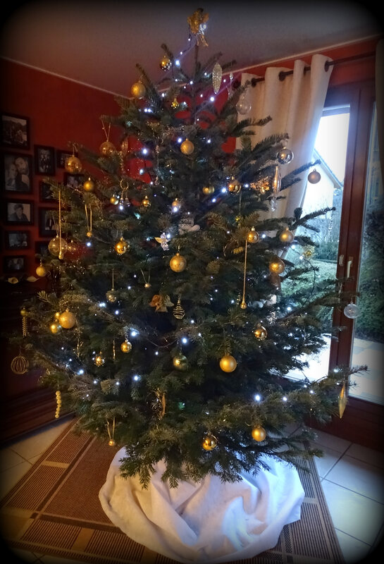 SAPIN