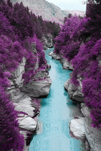 gif-animc3a9-plaisir-passion-1059