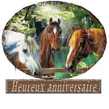 Résultat de recherche d'images pour "gif bon anniversaire cheval"