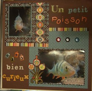 lilou752_petit_poisson_curieux