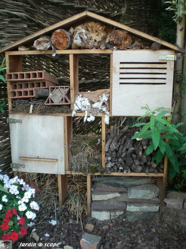 La_maison_des_insectes