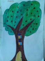 l'arbre de Farid