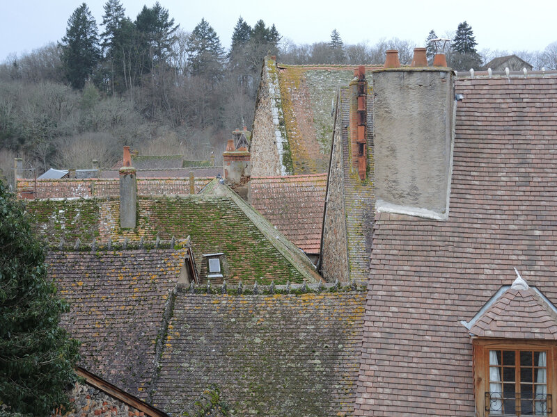 Hérisson, château, vue sur les toits (03)