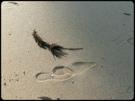 noirmoutier_076