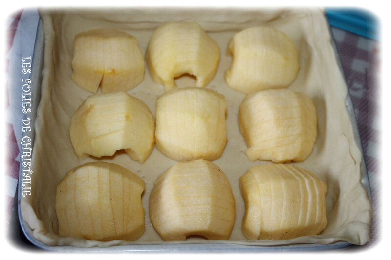 Tarte aux pommes fossiles 4