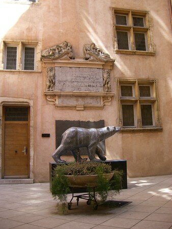 Lions_2_021