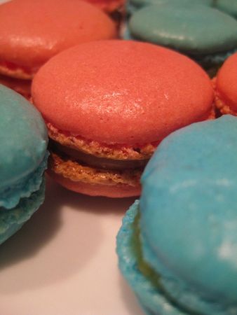 macarons_v2_Monsieur_Polaine_01
