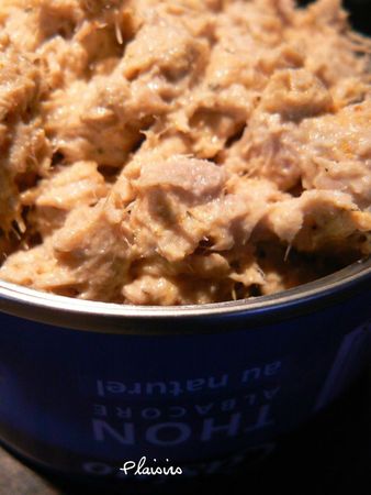 rillette thon (1)