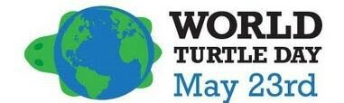 LOGO WORLD TURTLE DAY