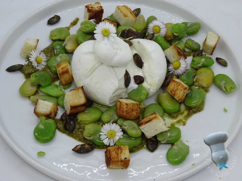 Burrata aux fèves, pesto et graines de courge