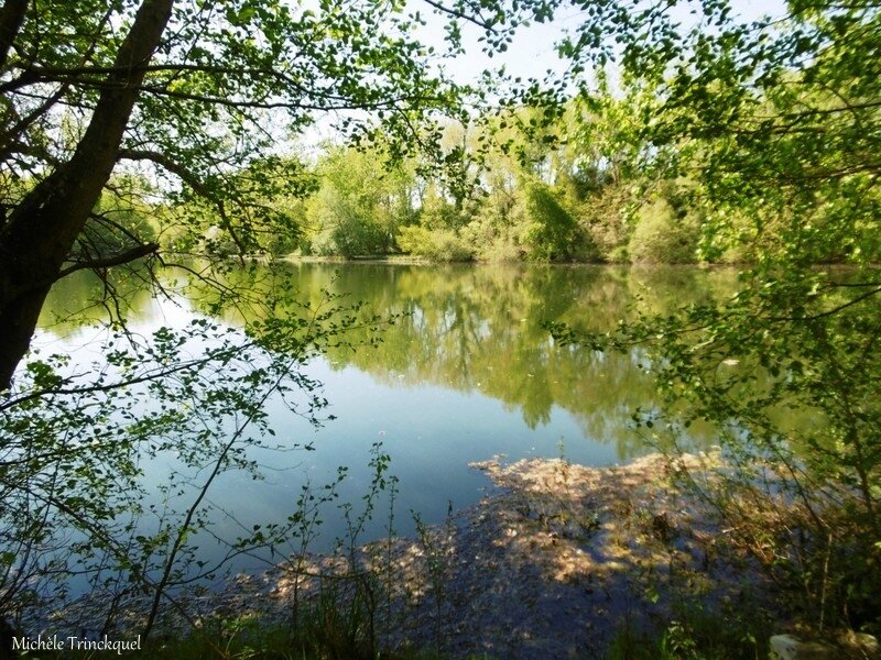 1-Lac du Glé Neuf à St Cricq du Gave 120417