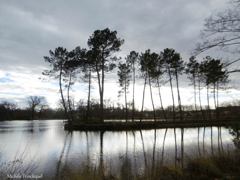 Etang de la Glacière 040118