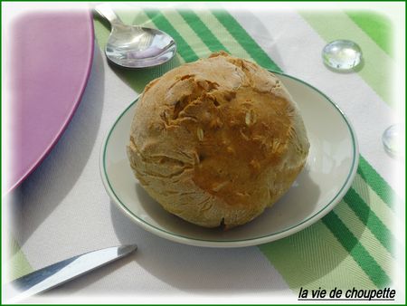 déjeuner sur l'herbe 17