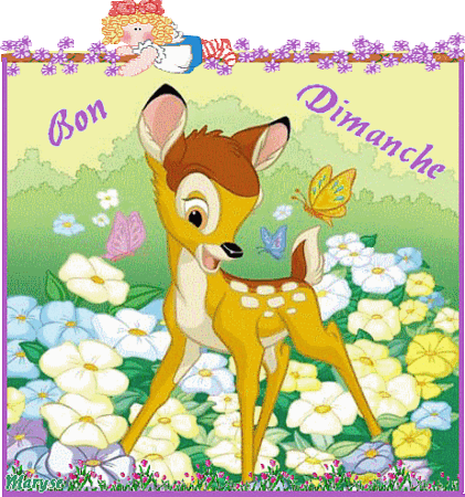 Bon_dimanche_Bambi