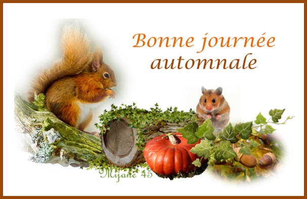 Bonne journée automnale