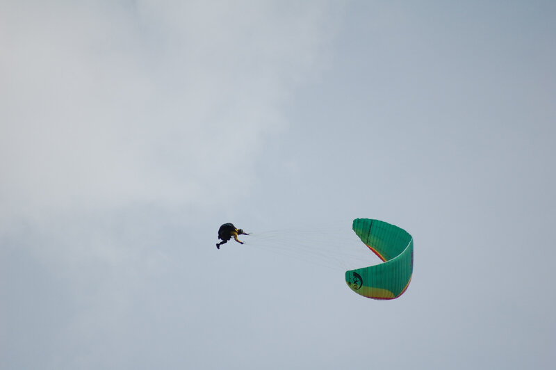 zoom (7)