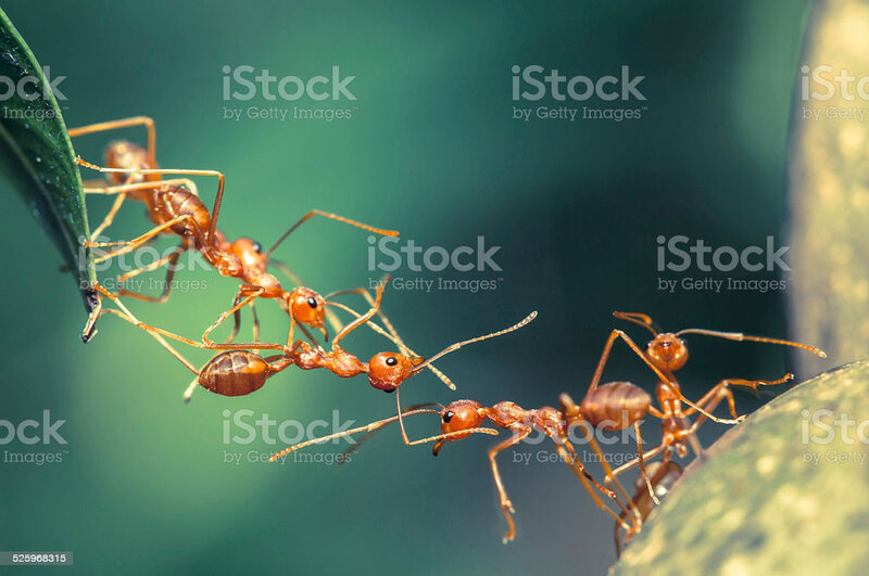 istockphoto-525968315-1024x1024