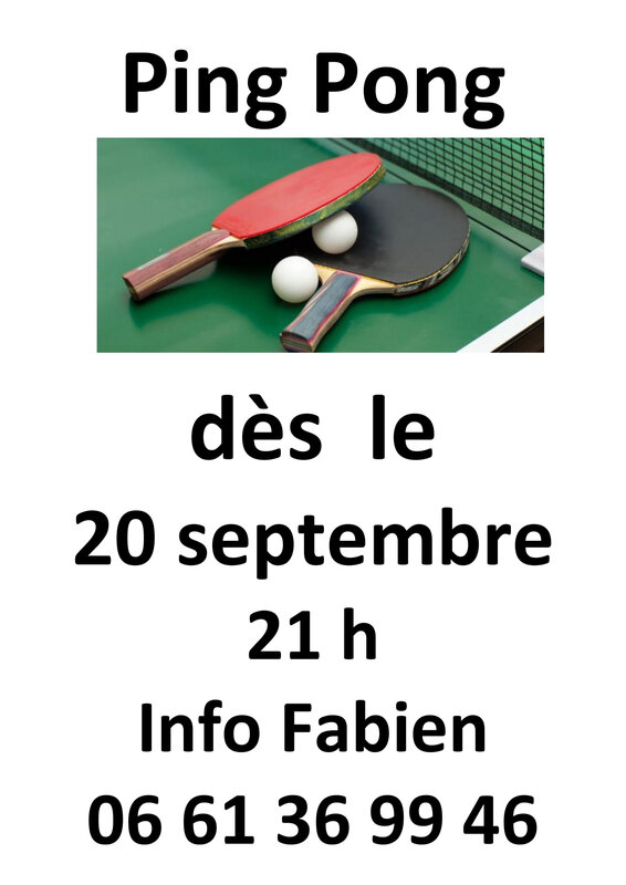 Nouvelle section ping pong-1