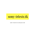 Sony <b>Trieste</b> Conseil - Investigations en cybercriminalité