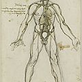 Exhibition in Edinburgh sheds new light on <b>Leonardo</b> da Vinci's anatomical drawings
