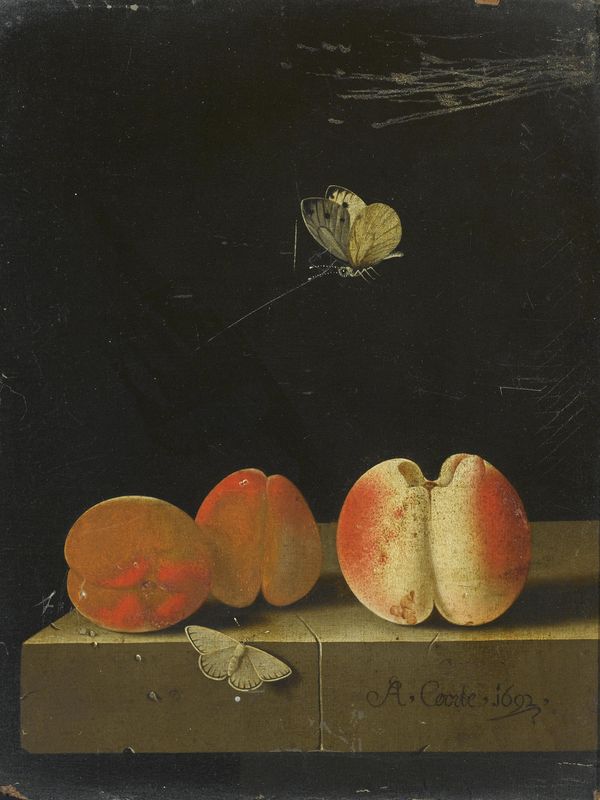 Two Newly-Discovered Still Lifes by Adriaen Coorte To Headline Sotheby ...