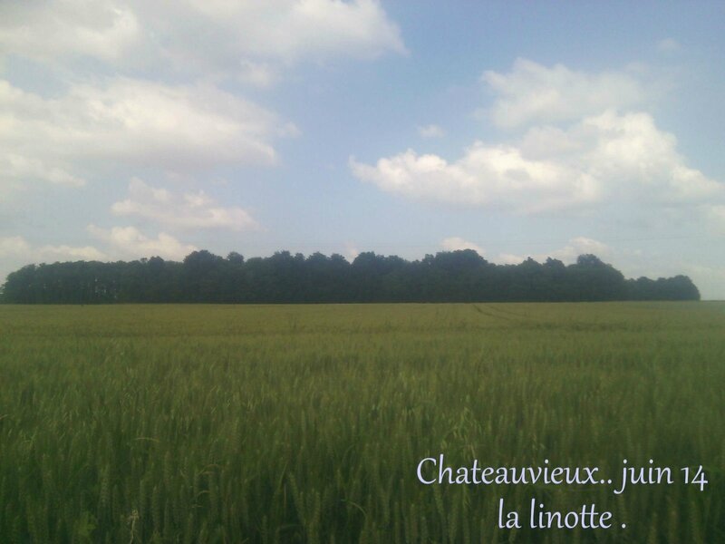 chateauvieux 1