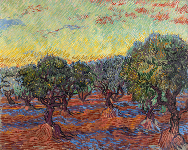 5 web Vincent van Gogh, Olive Grove, Saint-Rémy, November 1889