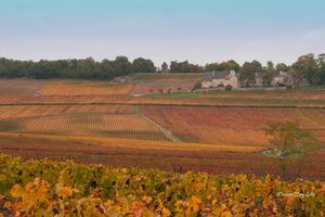 Couleurs d'automne