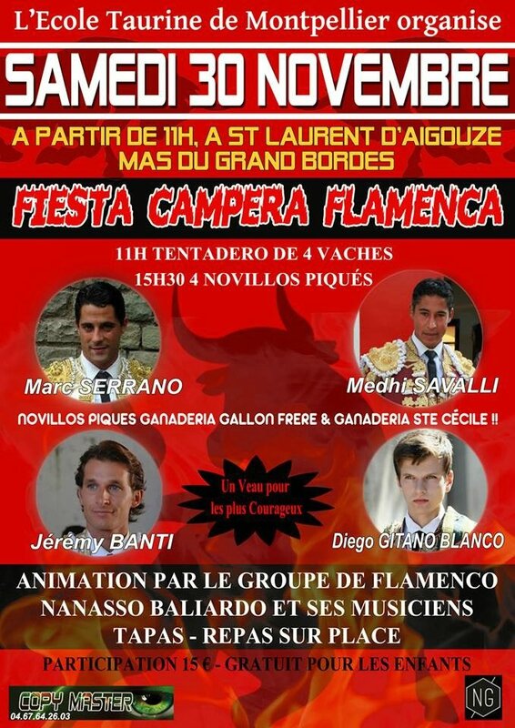 fiesta-campera-flamenca