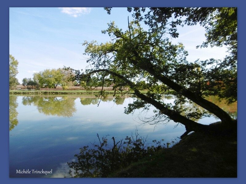 1-Etangs de la Marnière, de Vicq d'Auribat et St Jean de Lier 260917