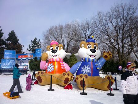 canada fevrier 2012 233