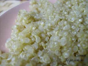quinoa_cuit