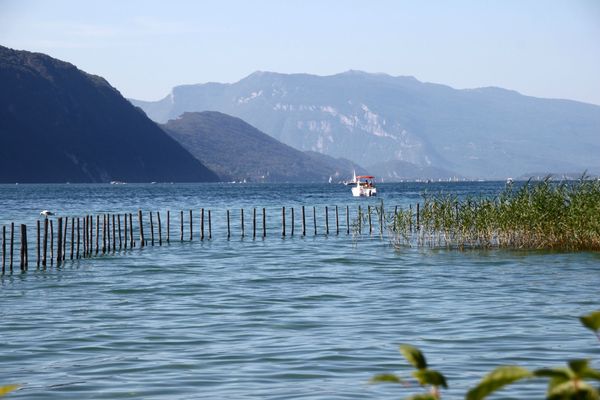 IMG_0052
