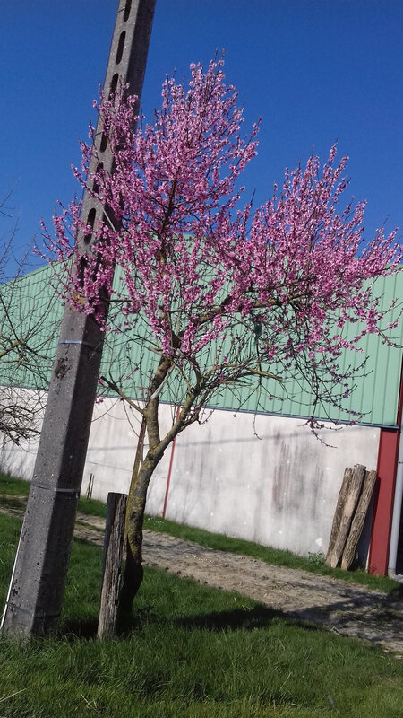 20200326_152340