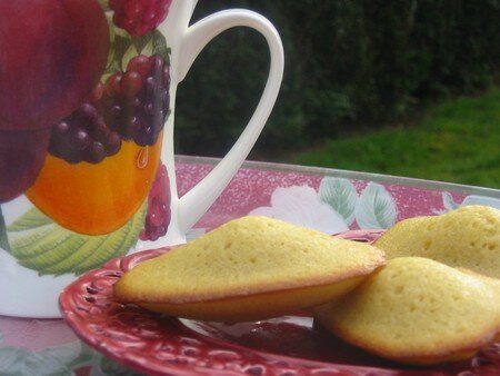 Les classiques sucrés #2 : les madeleines recettes dessert Madeleines chocolatées