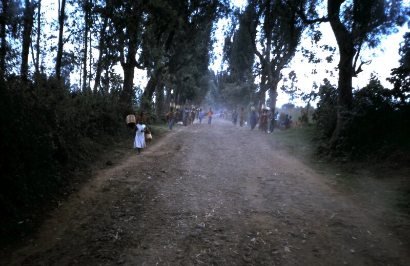 zaire route a