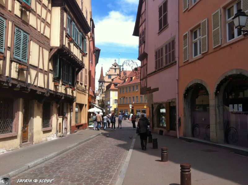 Rue de Colmar