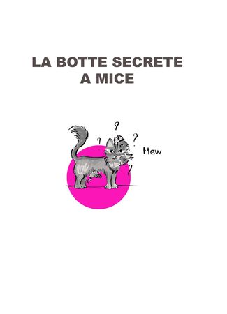 MICE_SBOTTE_SECRETE
