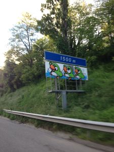 Birdy_d_autoroute