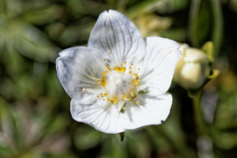 IMG_2014_08_17_4951_DxO_redimensionner