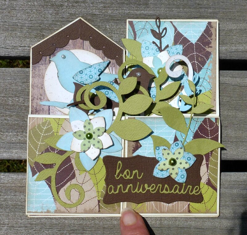 Carte-3D-oiseaux6