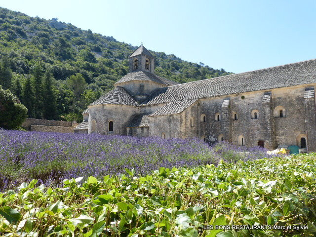 P1650202