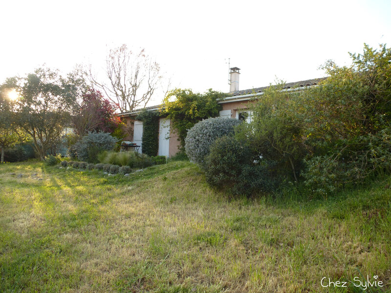 Vue sud maison après la tonte 21-03-25