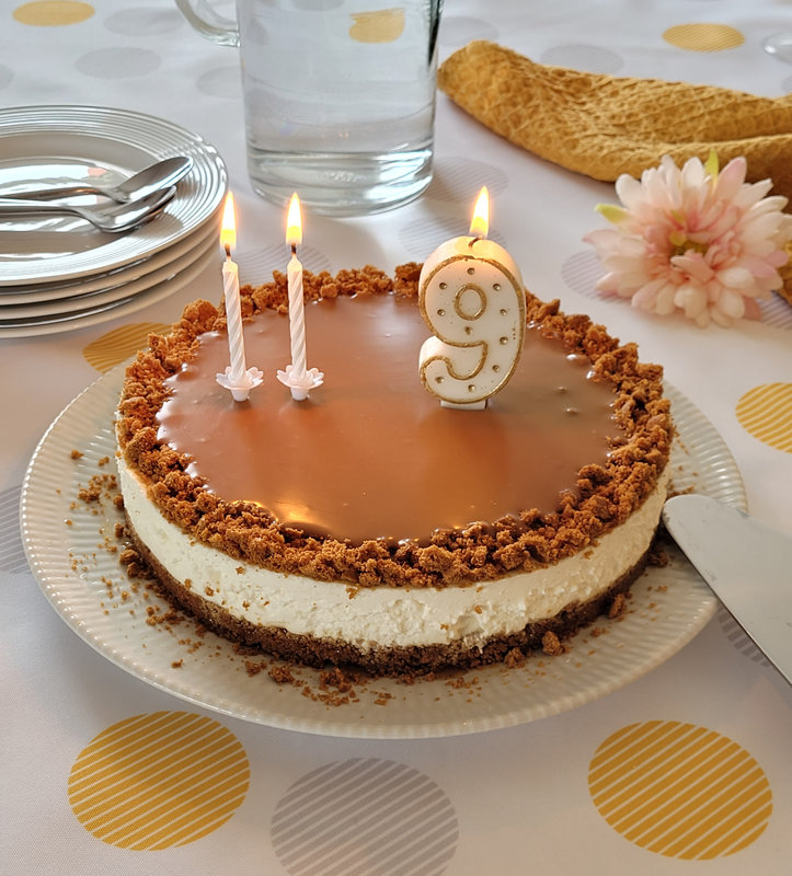cathytutu cheesecake speculoos sans cuisson lyon instagram facile gourmand 1469