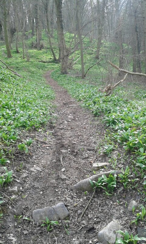 20150406_161444